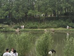 -美兰湖景区