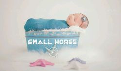 点击看大图 -小木马儿童摄影(保丽国际广场店)