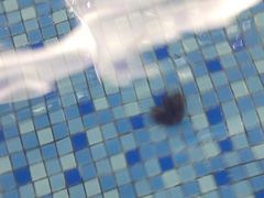 -大自然会所(阳光店)