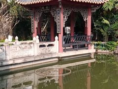-碧江金楼