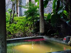 -和顺柏联温泉