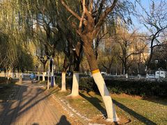 -天鹅湖体育公园