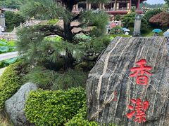 -庐山风景名胜区-东林大佛