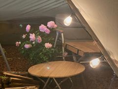 大堂-鹿萤季·营地小馆(皇后公园店)