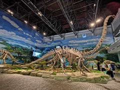 -自贡恐龙博物馆