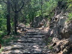 -阳台山自然风景区