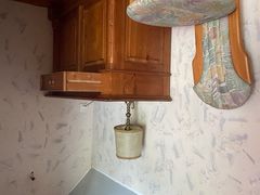 -金山农民画村-枫泾波兰倒置屋