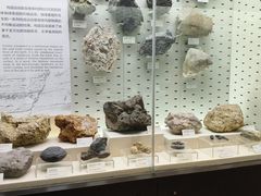 -浙江自然博物院(杭州馆)