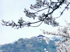 -杭州少年儿童公园
