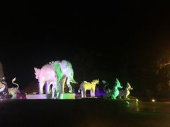 -清迈夜间动物园