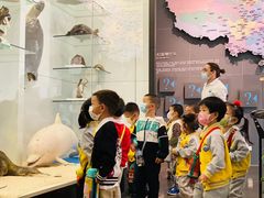 -金禾国际幼儿园