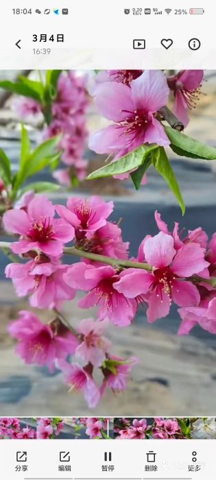 西宁市人民公园(城西区)图片