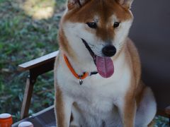 -四明湖