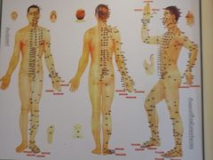 -益友堂盲人推拿正骨穴位按摩工作室