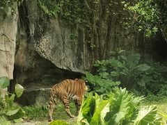 -广州动物园