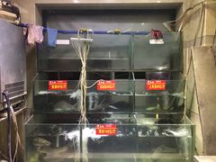 -干老四雅鱼饭店(滨江西路店)