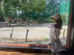 -上海野生动物园老虎餐厅