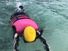 -陕西省游泳跳水馆