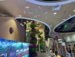 -meland club亲子乐园(石家庄万象城店)