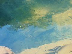 -广州白江湖森林公园