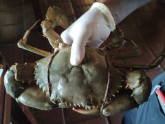 -Ministry of Crab(科伦坡店)