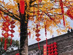 -紫阳古街