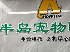 -半岛宠物医院24小时(白果林店)