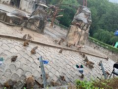-哈尔滨北方森林动物园