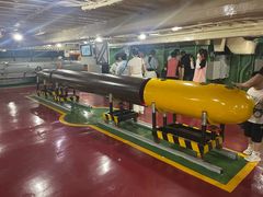 -泰达航母主题公园