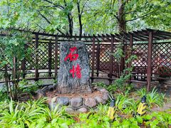 -尚庄度假村·庭台树下·户外烧烤·团建CS·轰趴营地(上庄水库店)