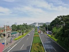 -八婆婆烧仙草(曾厝垵店)