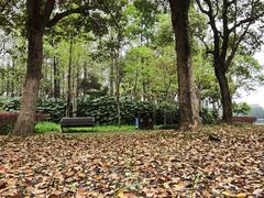 -长广溪湿地公园