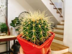 -森野花艺培训·企业团建活动沙龙