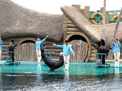 -秦皇岛乐岛海洋王国