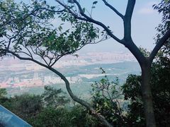 -紫金山山顶公园
