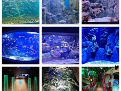 -成都浩海立方海洋公园