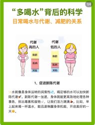 -Fundi张玉珊修身堂·indiba·BTL科技瘦身