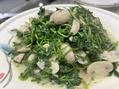 -旺山·浪头人家