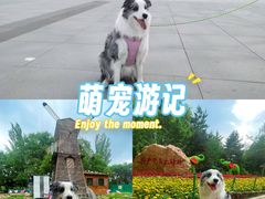 -长白岛森林公园