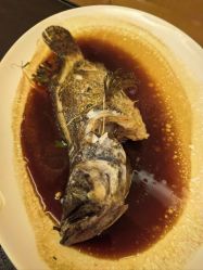 -武汉富力威斯汀酒店·宴会厅