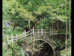 -东天目山风景区