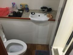 -崇明东平国家森林公园烧烤房车露营地