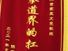 -武术世家少儿培训中心(首都体育学院店)