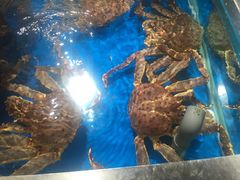-盒马鲜生(悦峰店)
