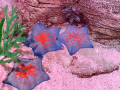 -沈阳海洋探索中心