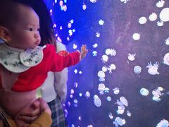 -欢乐海岸海洋奇梦馆