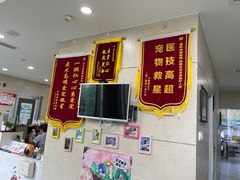 -谐和益家动物医院·免疫绝育·血液透析·宠保定点医院(高新伊藤分院)