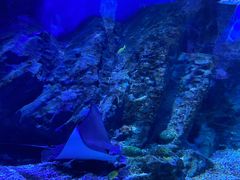 -海合安武汉极地海洋公园