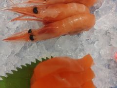 -黑松白鹿(金融街店)