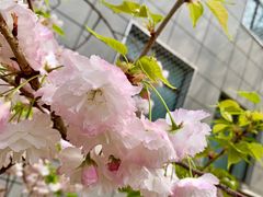 -中国石油大学（北京）(北京西校区)